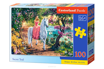 CASTOR PUZZLE 100 SECRET TRAIL 1114 