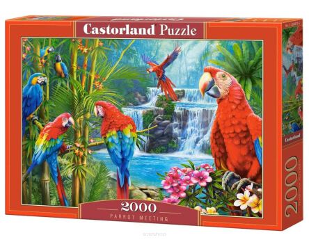 CASTOR PUZZLE 2000 PARRPT MEETING 0870
