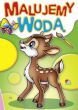 KOLOROWANKA MALUJEMY WODĄ 0696 4600 - 3
