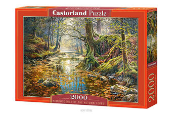 CASTOR PUZZLE 2000 REMINISCENCE OF THE AUTUMN FORE