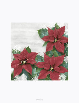 SERWETKI GWIAZDA BETLEJEMSKA 33x33 CM (20) 8773