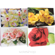 TOREBKA OZD TK POPRZECZ 32x24x10 CM [10] 6150 - 2