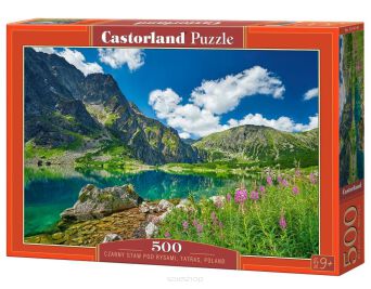CASTOR PUZZLE 500 CZARNY STAW POD RYSAMI 4145