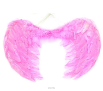 SKRZYDŁA ANIOŁA ANIELSKIE PIÓRA RÓŻ 45X34 CM 0562