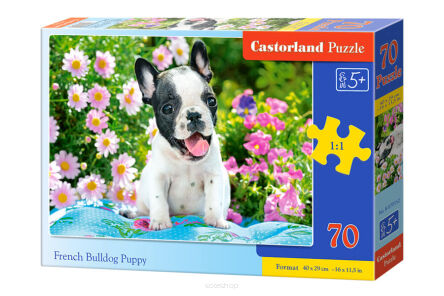 CASTOR PUZZLE 70 FRENCH BULLDOG PUPPY 0152