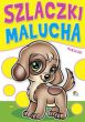 KOLOROWANKA SZLACZKI MALUCHA 1075 - 2