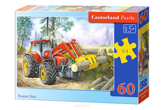 CASTOR PUZZLE 60 FOREST SITE 6601