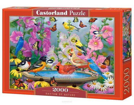 CASTOR PUZZLE 2000 RHYTHM OF NATURE 0818