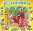 KSIĄŻECZKA TWARDE STRONY KWADRAT 0047 0848 - 2