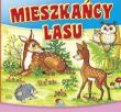KSIĄŻECZKA TWARDE STRONY KWADRAT 0047 0848 - 12