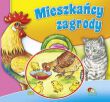 KSIĄŻECZKA TWARDE STRONY KWADRAT 0047 0848 - 10