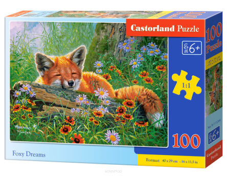 CASTOR PUZZLE 100 FOXY DREAMS 1244