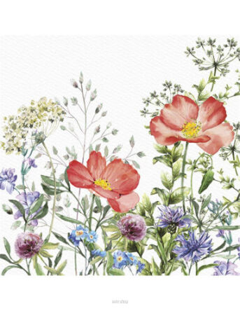 SERWETKI ŁĄKA W CZERWCU 33x33 CM (20) 4128