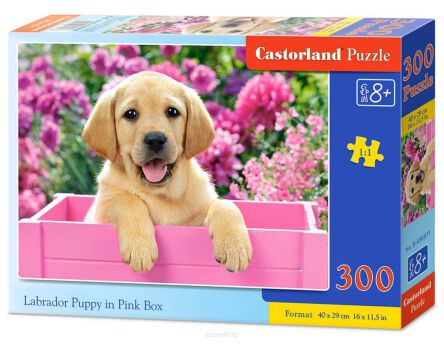 CASTOR PUZZLE 300 LABRADOR PUPPY IN PINK 0071