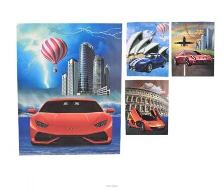 TOREBKA PREZENTOWA AUTA 55X43 CM (12) 1315