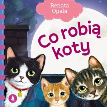 BAJKA CO ROBIĄ KOTY 9333