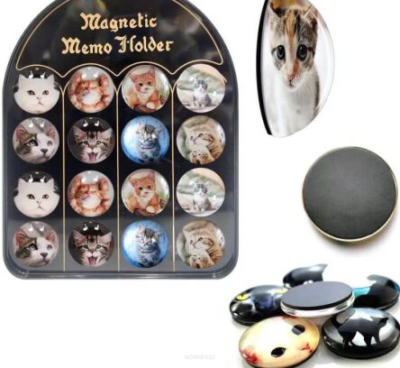 MAGNES KOTY 5 CM BLISTER 16 SZT 9959