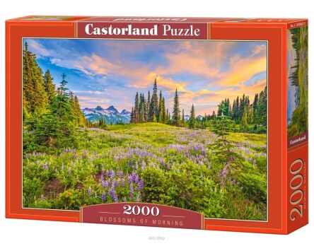 CASTOR PUZZLE 2000 BLOSSOMS OF MORNING 0863